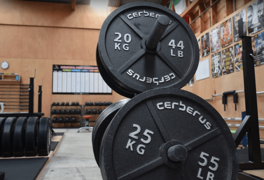 gym benchpress squat weights